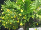 20150328_006.JPG