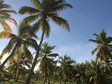 20150328_013.JPG