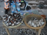 20150321_009.JPG
