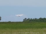 20150327_5a.JPG