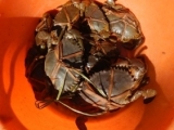 DSCN4539.JPG