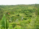 DSCN4723.JPG
