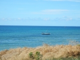 DSCN5773.JPG
