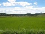 20150322_008.JPG