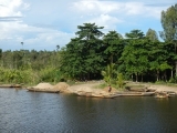 20150323_004.JPG