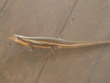 20150325_004.JPG