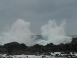 20150309_22.jpg
