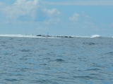 DSCN4286.JPG