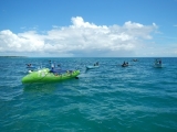 DSCN4377.JPG
