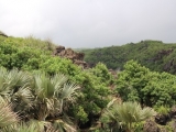 20150310_14.JPG