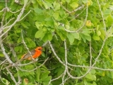 20150310_21.jpg