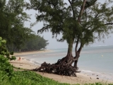 20150310_24.JPG
