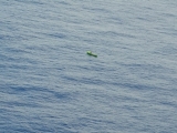 20150327_007.JPG
