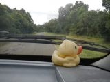 DSCN4578.JPG