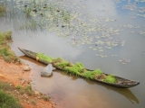 DSCN4594.JPG