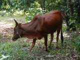DSCN4623.JPG