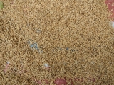DSCN4678.JPG