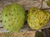 DSCN4679.JPG