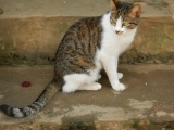 DSCN4783.JPG