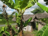 DSCN4784.JPG