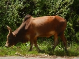 DSCN4796.JPG