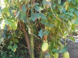 DSCN4831.JPG