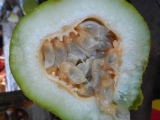 DSCN4833.JPG