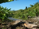 DSCN4836.JPG