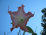 DSCN4837.JPG