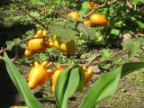 DSCN4838.JPG