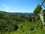 DSCN4839.JPG