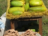 DSCN4867.JPG