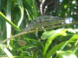 IMG_1487.JPG