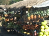 DSCN4893.JPG