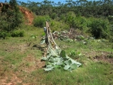 DSCN4900.JPG