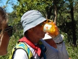 DSCN4936.JPG