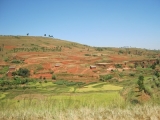 DSCN5096.JPG