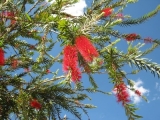 DSCN5100.JPG