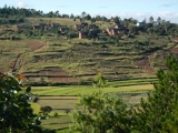 DSCN5123.JPG