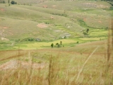 DSCN5131.JPG