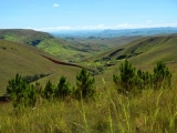 DSCN5214.JPG