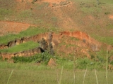 DSCN5253.JPG