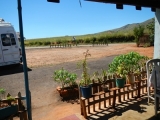 DSCN5273.JPG