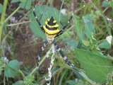 DSCN5285.JPG