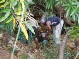 DSCN5316.JPG