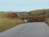 DSCN5317.JPG