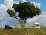 DSCN5349.JPG