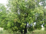 DSCN5368.JPG