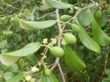 DSCN5427.JPG