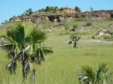 DSCN5454.JPG